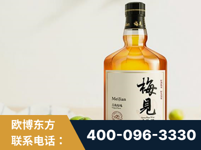 周口-梅见青梅酒